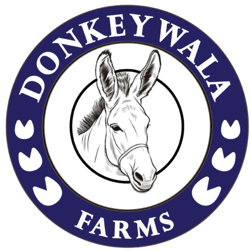 Donkeywala Farms 